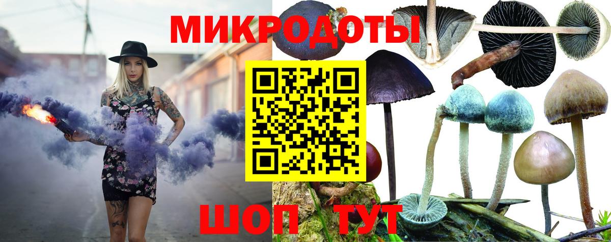 Псилоцибиновые грибы прущие грибы Рассказово